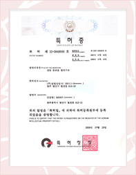 ลิขสิทธ์ (ไปท์ทองแดง)