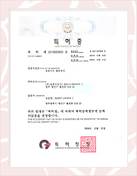 ลิขสิทธ์ (ไปท์ทองแดง)